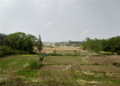 杭州市余杭区：为10万农户发放农村土地承包经营权证，新版证件设置二维码
