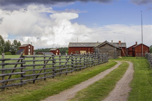 5b6a855e5572f.jpg