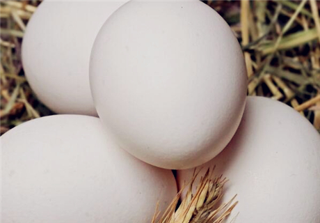 茶叶蛋放多久就不可以吃了 5b6d338fe2cb2.jpg