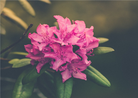 5b728c4a6fb04.png
