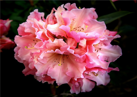 5b728c672a1e4.png