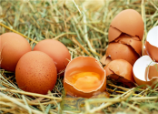 鸡蛋价格再次下滑，均价或3.70-4.20元/斤，行情为何变化如此之快？