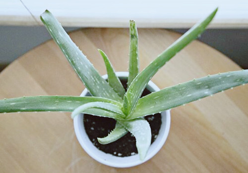 5b97801a4e291.jpg