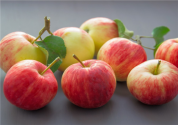 种植苹果的农户快看看！苹果价格全面上涨，三招教您高收益出售