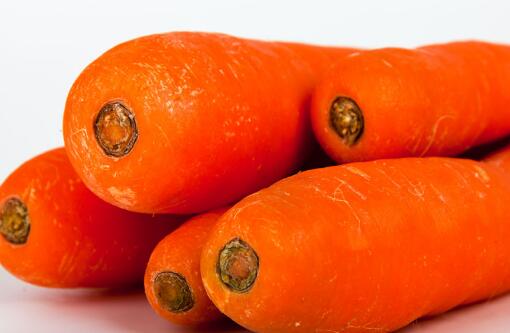 什么时间种白萝卜红萝卜好 5be397ff6f109.jpg