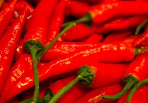 红一点的辣椒 5be3f5e46145c.jpg