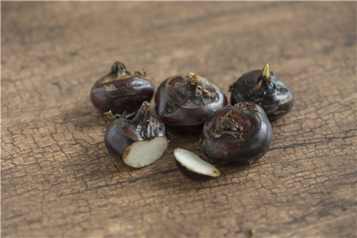 什么时间种植马蹄 5bffa323666da.jpg