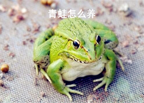 5c00f22abf264.jpg