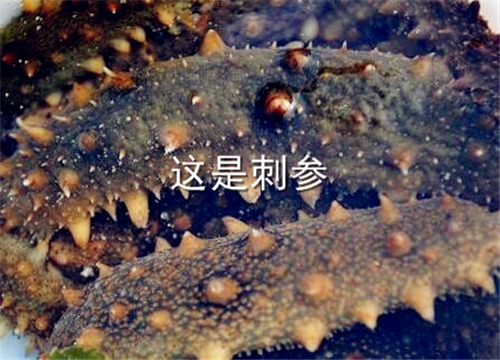 5c121cf0e63e3.jpg
