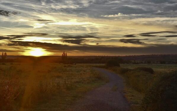 2019经济半年报_广发证券 2019经济韧性从何而来(3)