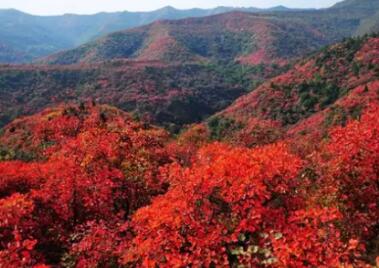 怎么搭香山_香山红叶简笔画怎么画(2)