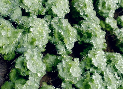 拆建都是gdp_满脑子都是你图片