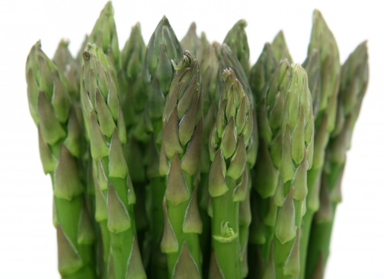 5c25d81c5e958.png