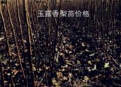 现在玉露香梨苗价格多少钱一棵？一棵树能产多少梨？