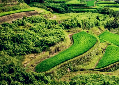 荒山承包