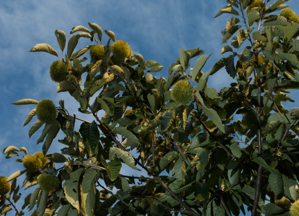 5c5115c5319ae.png
