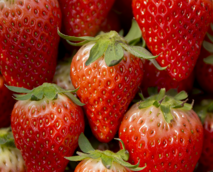 5c6a741973c8b.png