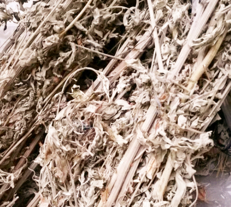 艾草和艾蒿区别 5c765767d3ce1.png