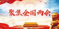 政协委员在全国政协十三届二次会议记者会上谈新时代政协履职