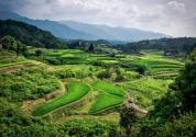 2019年农村5大扶贫政策实行，贫困户做这些产业可以享受补贴！