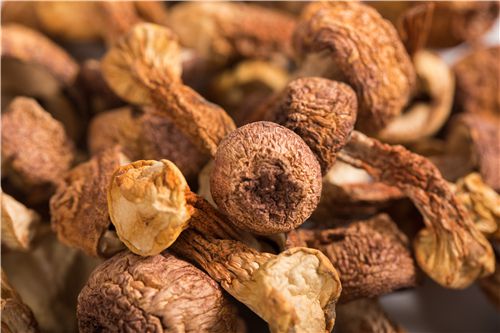 松茸多少钱一斤2019 5cc56f24da165.jpg