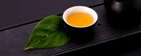 白露茶属于什么茶