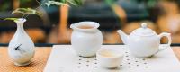春天喝什么茶