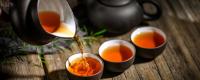 信阳红是什么茶