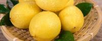 柠檬产地哪里比较好