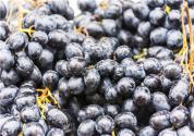 黑提葡萄种植技术是什么？