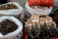 干菜生虫了怎么办？