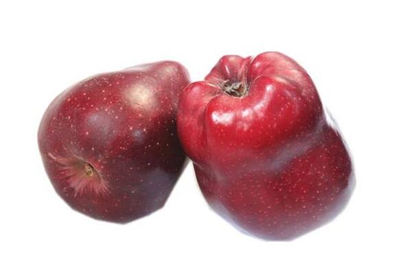 世界上著名的三个苹果 5db696042a4f0.jpg