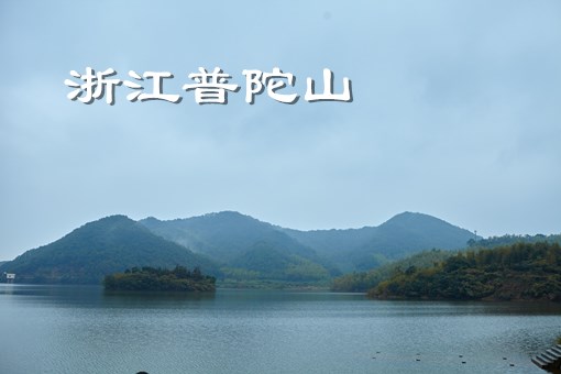 佛教四大名山哪个收入高 5de9e8c226bea.jpg