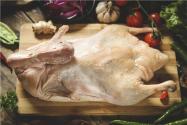 2019年白条鸭肉多少钱一斤？功效和作用有哪些？不能和什么一起吃？