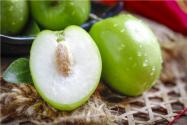 2020年1月青棗多少錢一斤？種植技術(shù)有哪些？種植效益怎么樣？