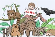 四川：明确水生野生动物保护，人工繁育门槛将全面提高！