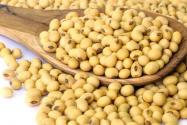 东北春播大豆如何种植高产？附技术指导意见！