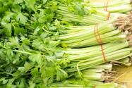 芹菜什么時(shí)候種植？可以加工嗎？技術(shù)有哪些？