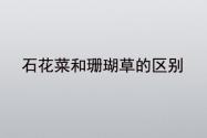 石花菜和珊瑚草的区别在哪里？