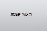 草和树的区别在哪里