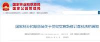 新森林法将实施！具体内容是什么？附详情！