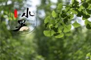 2020年小暑是幾月幾日？要注意防范哪些農(nóng)事災(zāi)害？養(yǎng)殖場(chǎng)如何防暑？