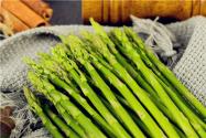 “南荻笋”芦笋的功效作用及食用禁忌有哪些？种子如何处理？