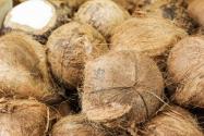 “热带水果”椰子的功效与作用有哪些？怎么打开？是凉性还是热性？