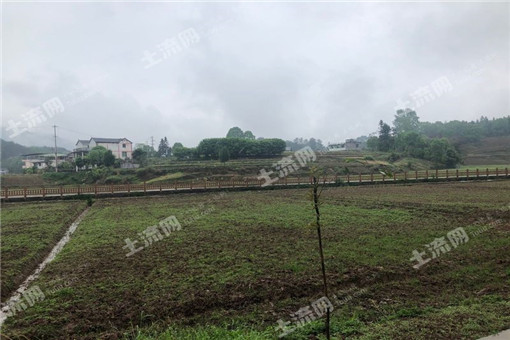 村经济总量包括什么_经济总量增强图片(3)