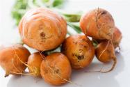 甜菜种植技术的6大要点你知道吗？如何防治病虫害？