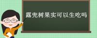 露兜树果实可以生吃吗