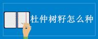 杜仲树籽怎么种