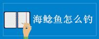 海鲶鱼怎么钓