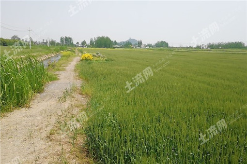 5f2a1f166cc30.jpg
